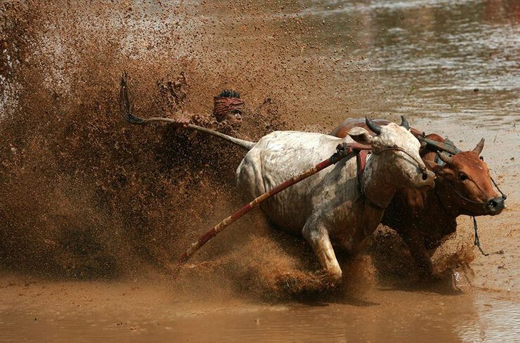 Это можно увидеть только в Индии