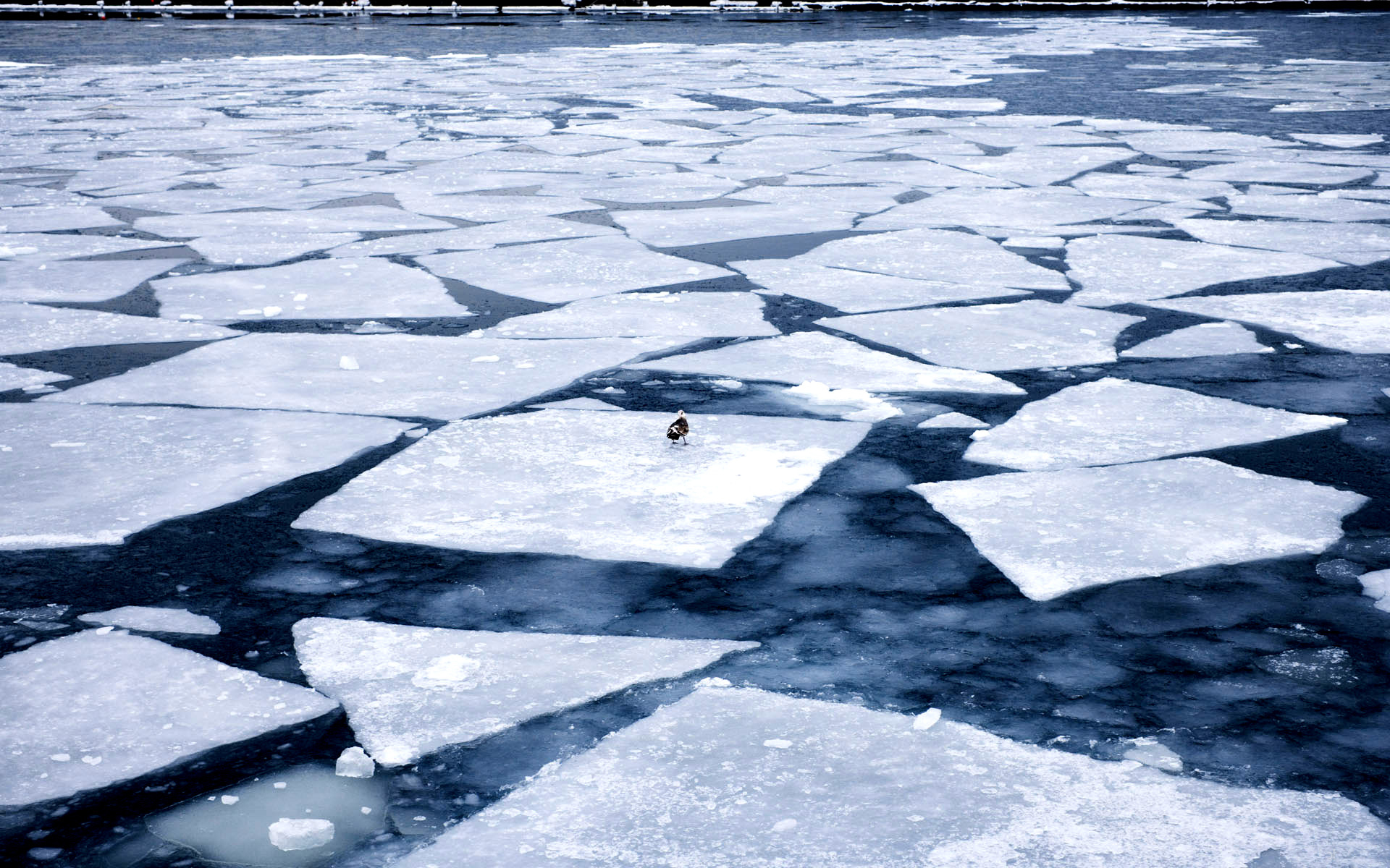 Ледоход лед идет 2 класс русский. Лед на реке. Льдины на озере. Таяние льда на реке. Льдины на реке.