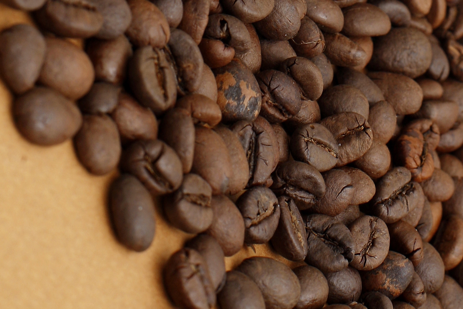 Вкусные сорта кофе. Самый вкусный сорт кофе в мире. Кофейный мир.