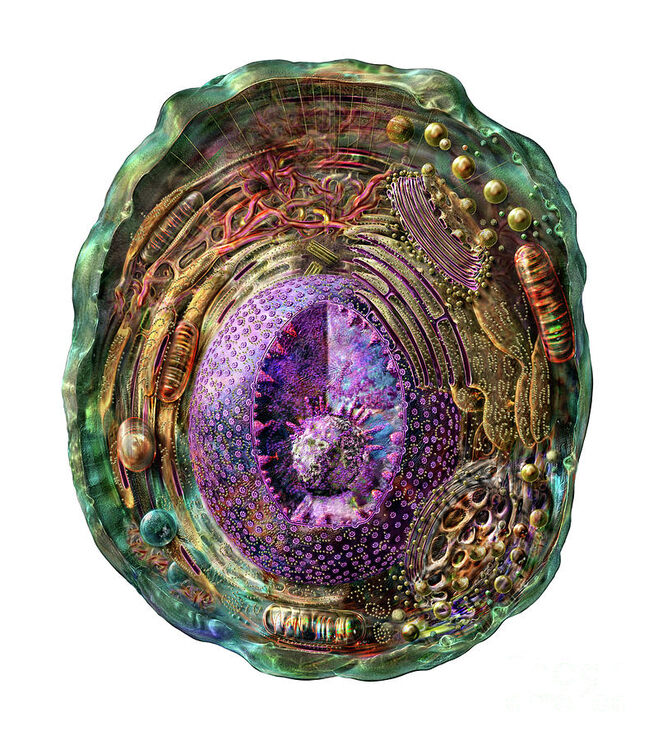 Сверхсовременные механизмы в живых клетках