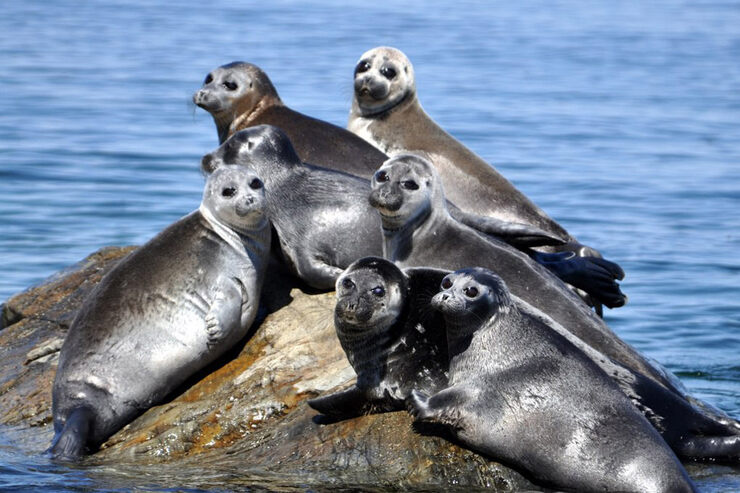 Остров Ольхон - красивейшее место на Байкале