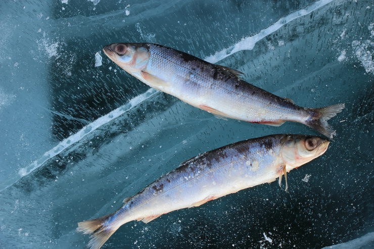 Остров Ольхон - красивейшее место на Байкале