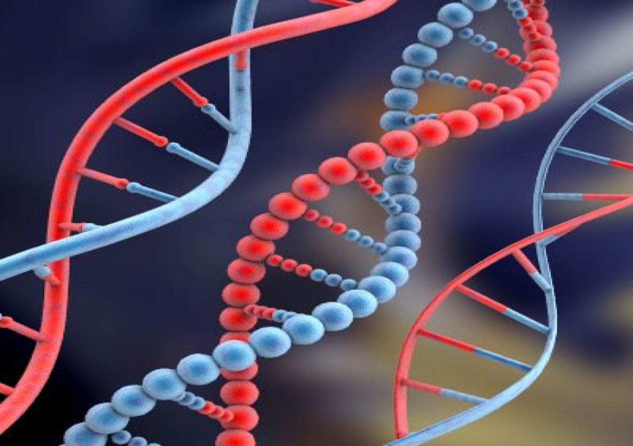 Наследственная информация ген. ДНК гены геном. Молекула ДНК. Генетика наследственность. Наследственные заболевания ДНК.