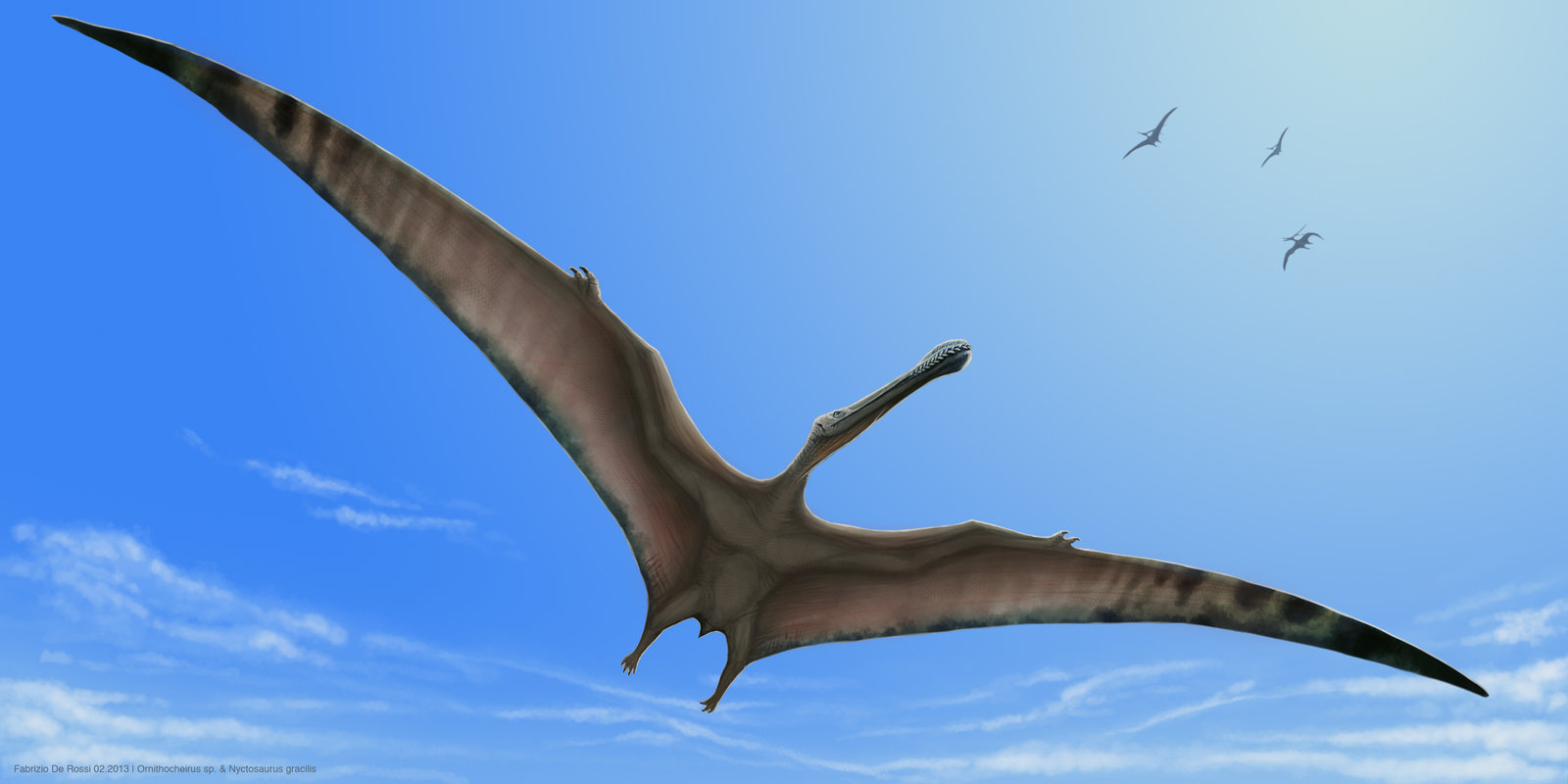 Птерадон. Птерозавр Птеранодон. Кетцалькоатль птеродактиль. Птерозавр Кетцалькоатль размах. Птерозавры Триасового периода.