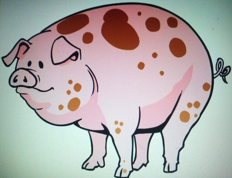 Дискретность и непрерывность