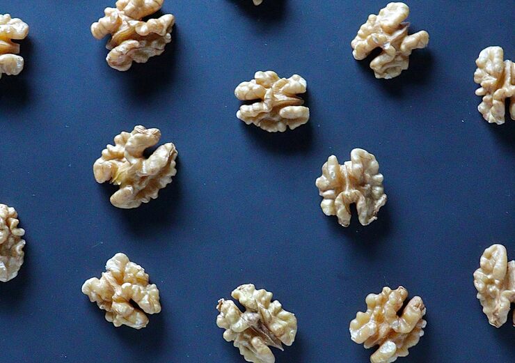 Полезная и вредная пища для мозга