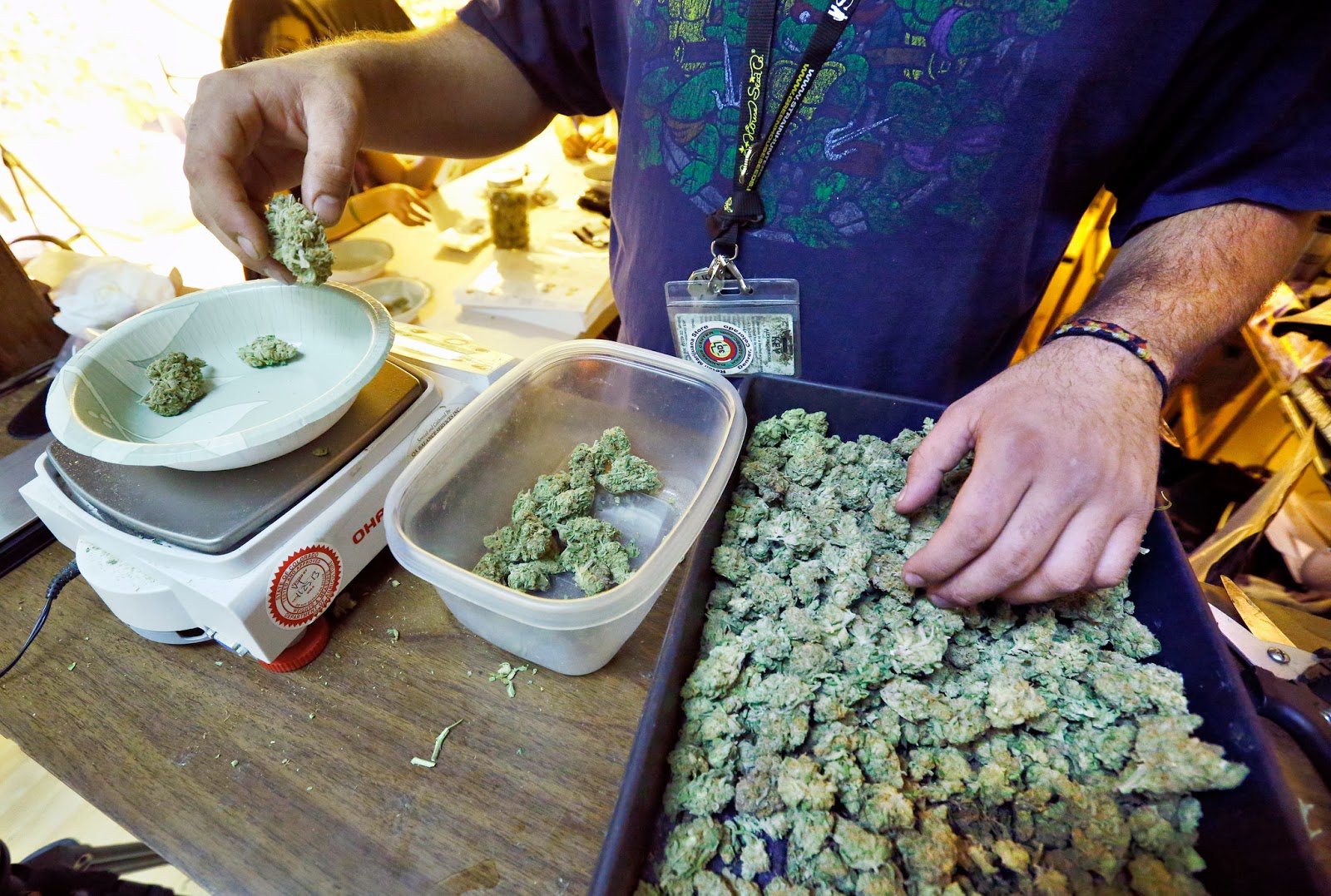 Продать коноплю влияет ли на вес марихуана
