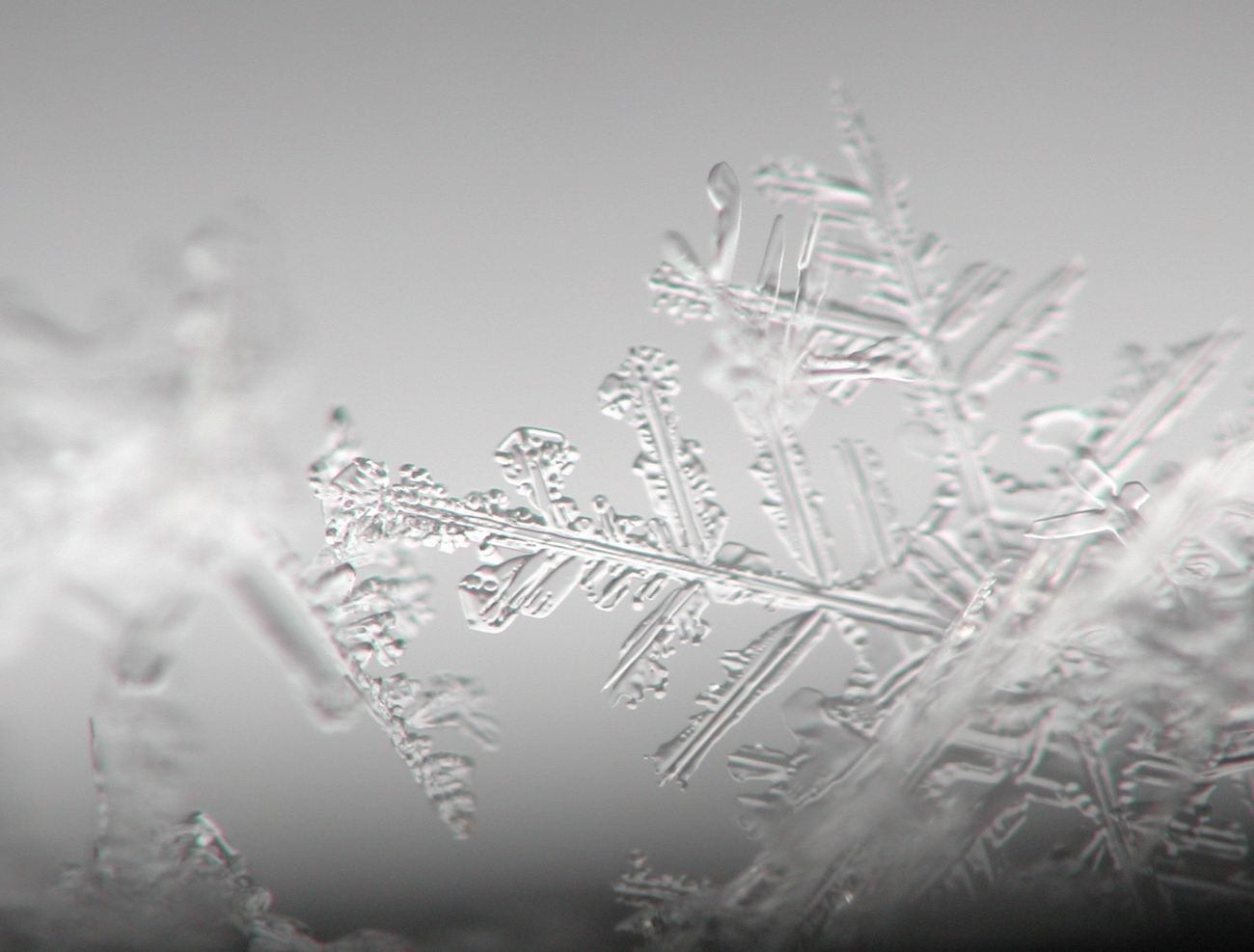 Снежок стекло. Фото снежинок в природе. Заснеженное стекло. Снежок состоит из снежинок. Стекло лед бесцветное.
