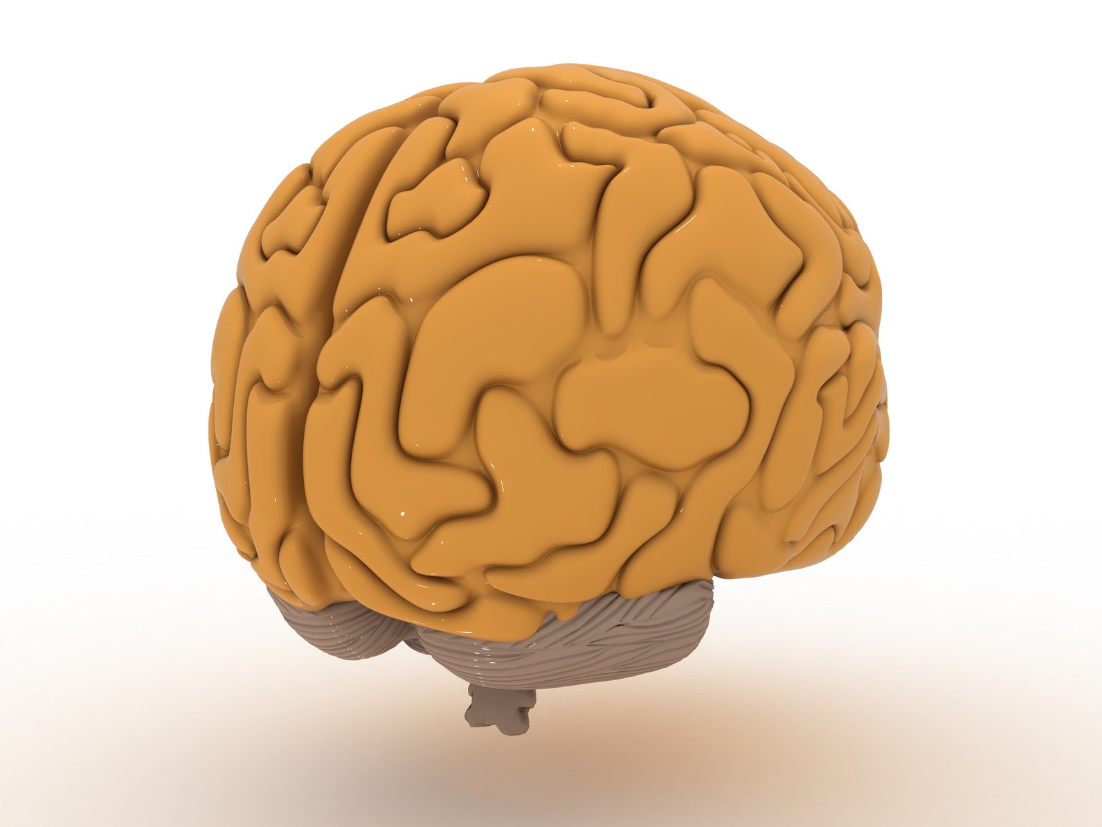 Large brain. Дом мозг. Дом с мозгами. Хрупкий мозг. Мозг рисунок для детей мультяшный.
