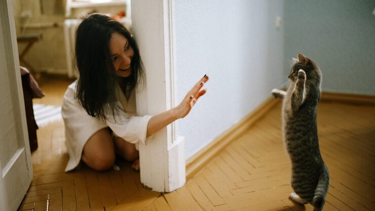 5 секретов счастья для каждого Знака Зодиака