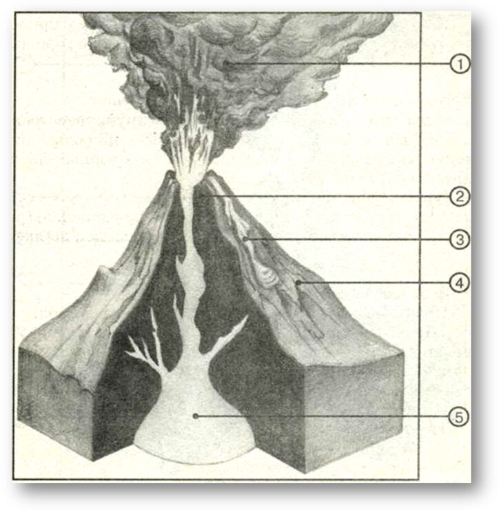 Каким путем идти, чтобы выбраться?