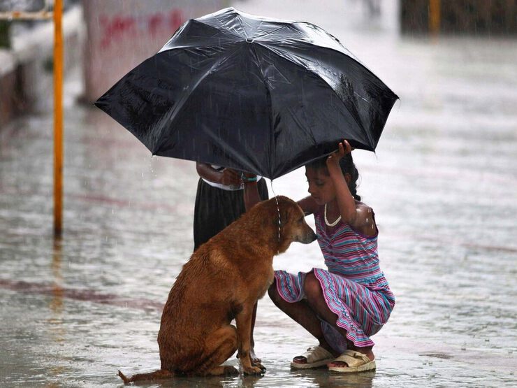 5 законов Вселенной