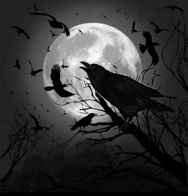 Холод за спиной и стук в стену