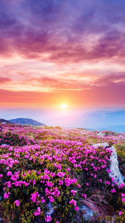 Беременность