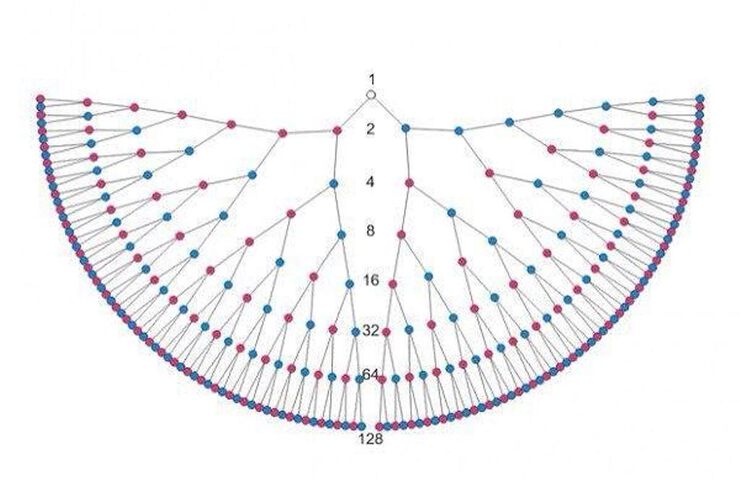 Род. Практики