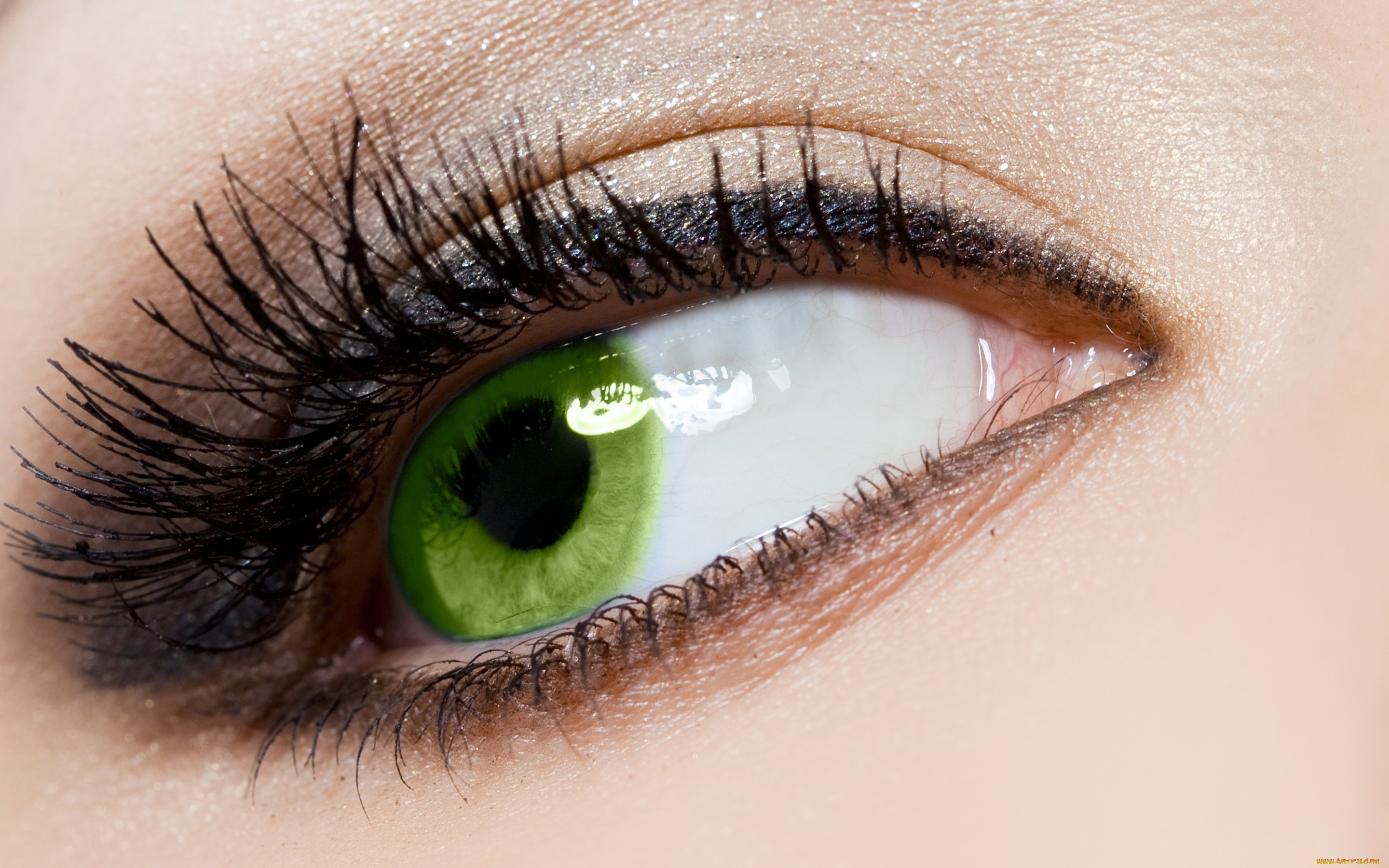Красивые фото зеленых глаз