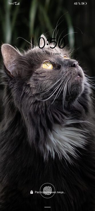 По поводу новых отношений