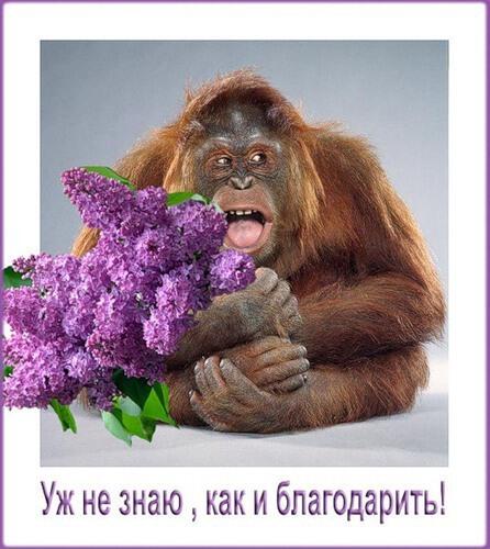 Взаимно... СПАСИБО!!! С Поклоном...