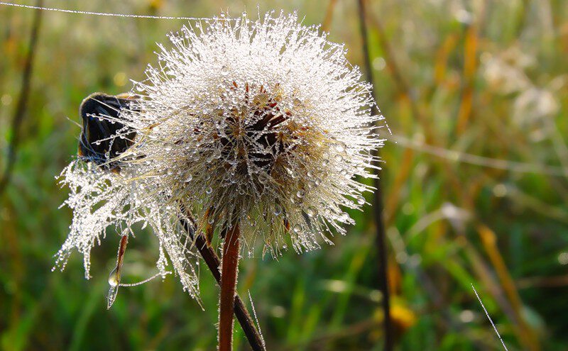 Август не значит, что...