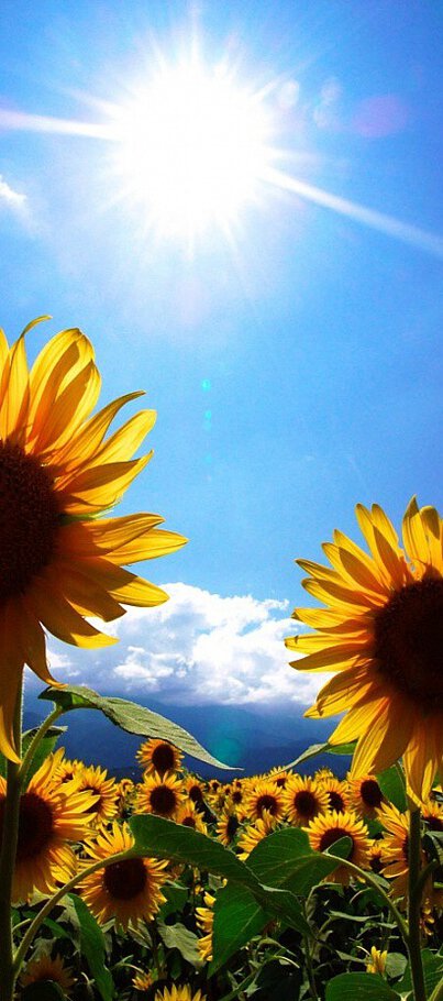 Сергей, с Днем Защитника...