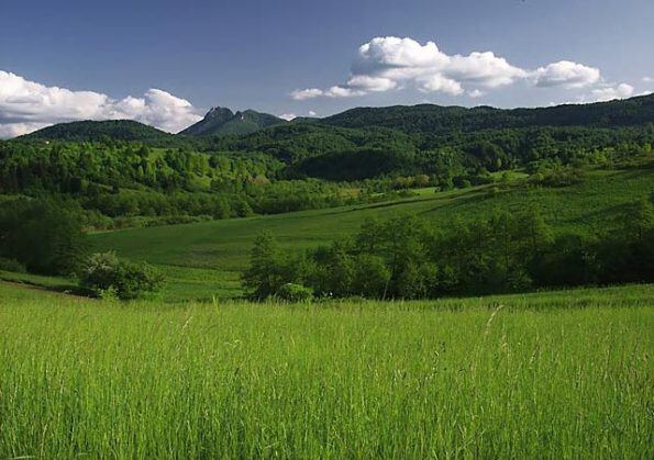 Здравствуйте, Елена! Сила Природы...