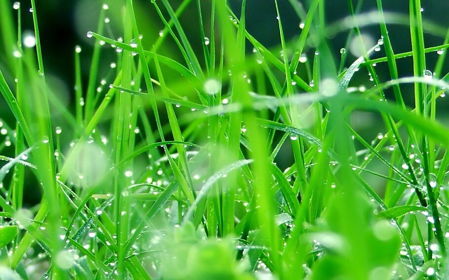 alsary, и Вас)))