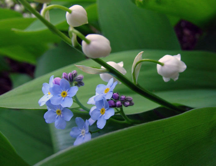 Обнимаю всей нежностью моей.
