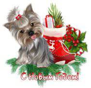 С нступившим Новым годом...