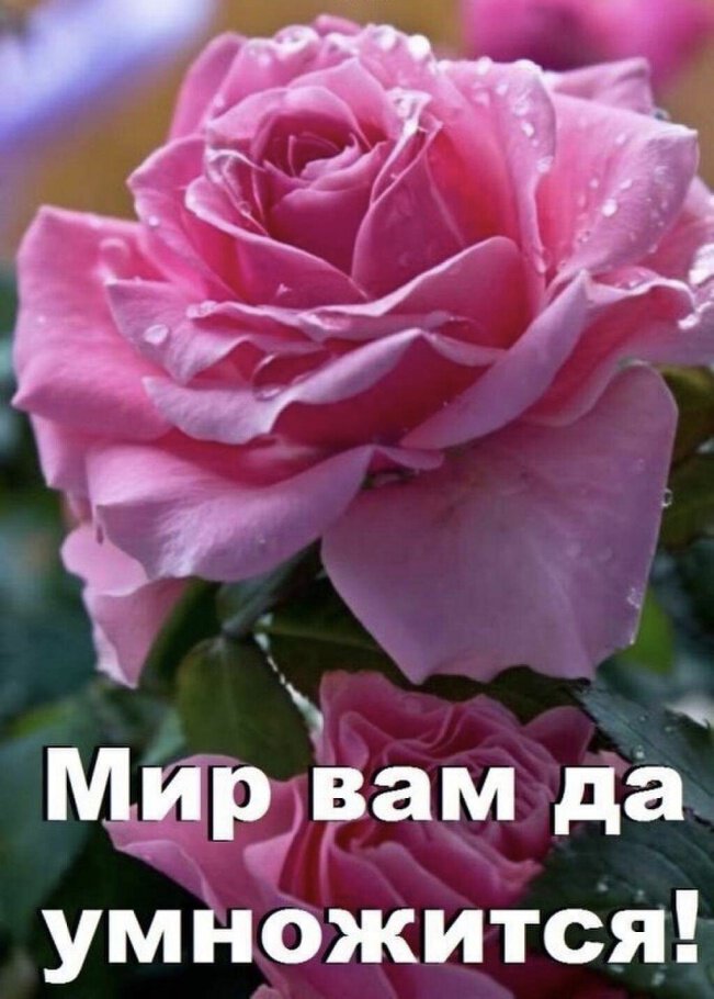 Благодарю, Евгения! Замечательный праздник...