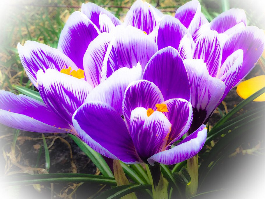 С Днем Рождения, Лариса!