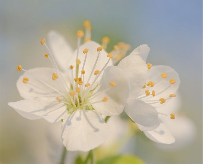 С Праздником достойных Жизни!...