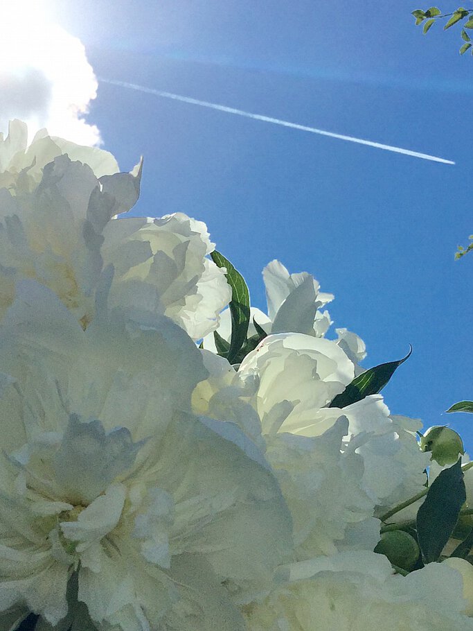 С Днм Защитника Отечества!