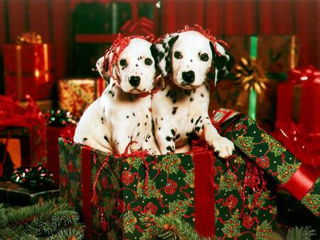 Дорогие друзья! Поздравляю вас...