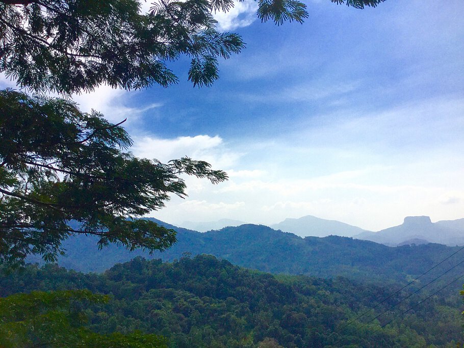 Принимаю) С Благодарностью и...