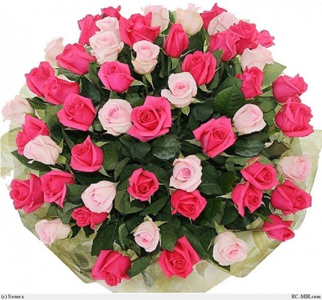 Арина, поздравляю вас с...