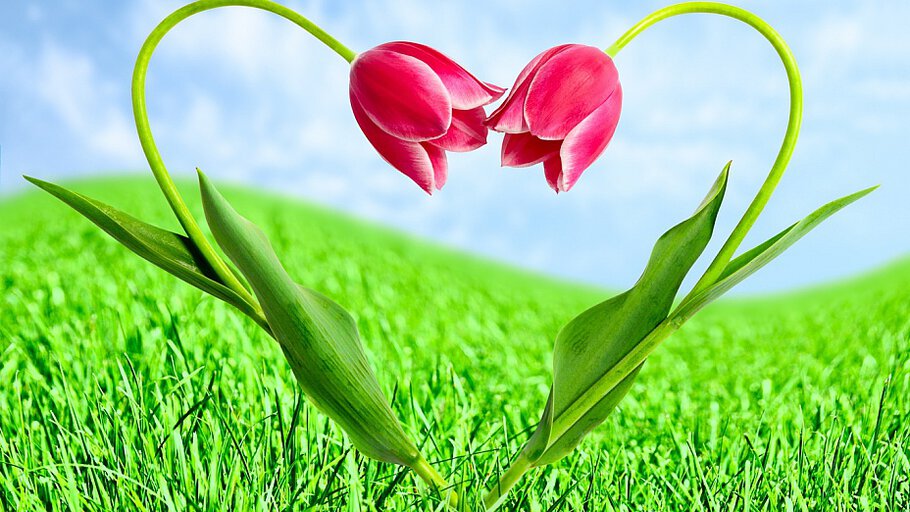 С праздником весны! Любви...