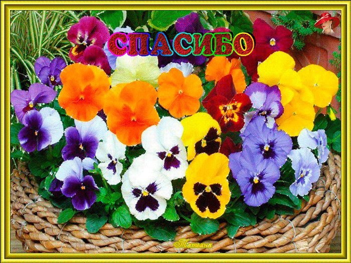 Огромное ВАм спасибо!