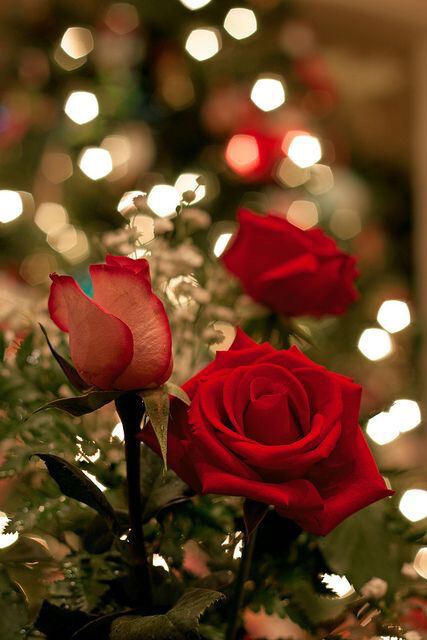 С Днем Защитника Отечества!