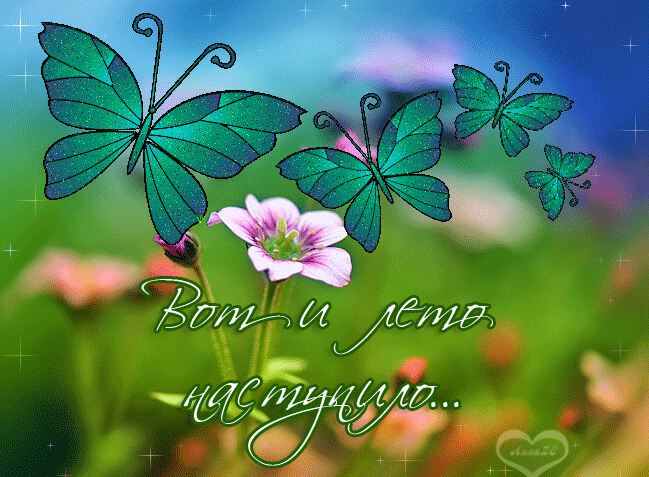 С первым летним днём...