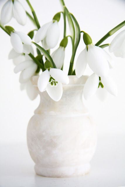 С Днем весеннего равноденствия!