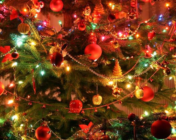 Лотос, поздравляю вас с...