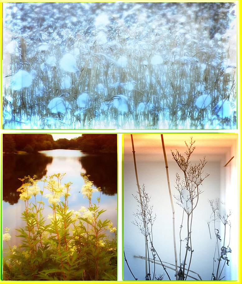 Таволга вновь бела, Даже...