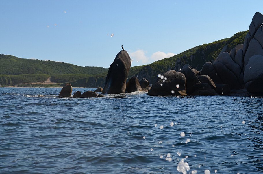 Благодарю!Спасибо огромное за лучик...