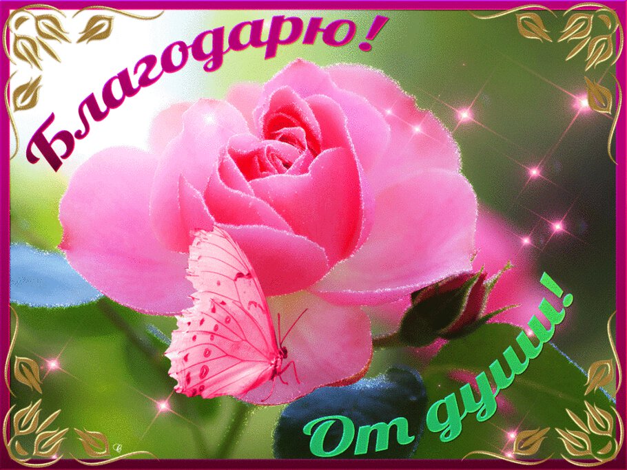 Элиссандра