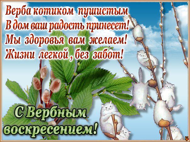 Элиссандра