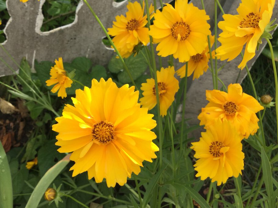 Светлого воскресного дня!)