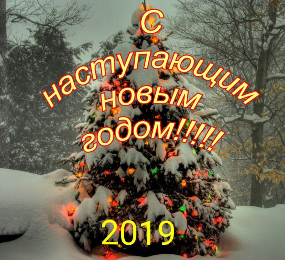 С наступающим Новым Годом...