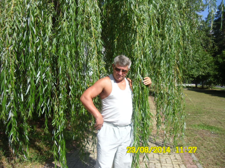 ну ё моё --...