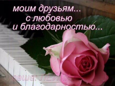 Дорогие друзья, от всего...