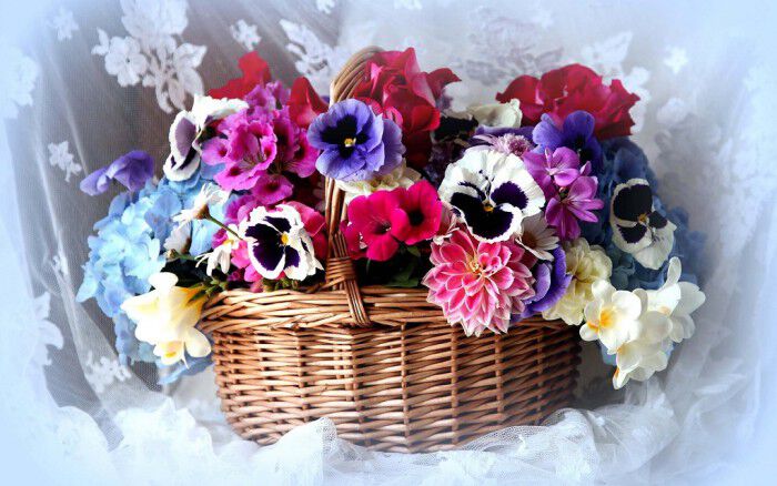 Елена, поздравляю вас с...